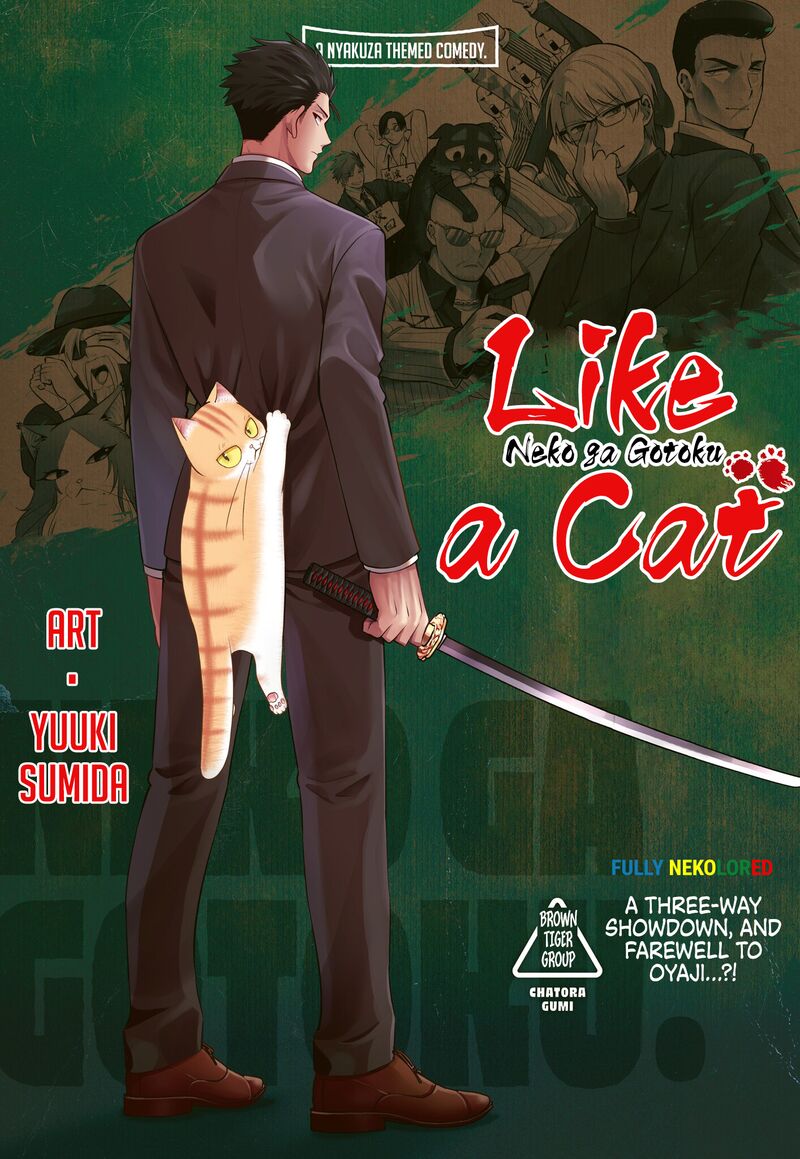 Neko Ga Gotoku Chapter 39 Page 17