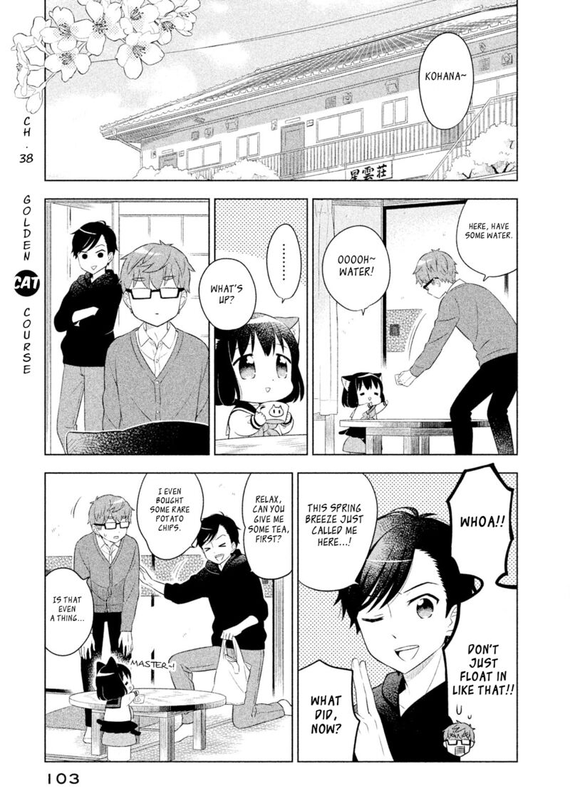 Neko No Kohana Chapter 38 Page 1