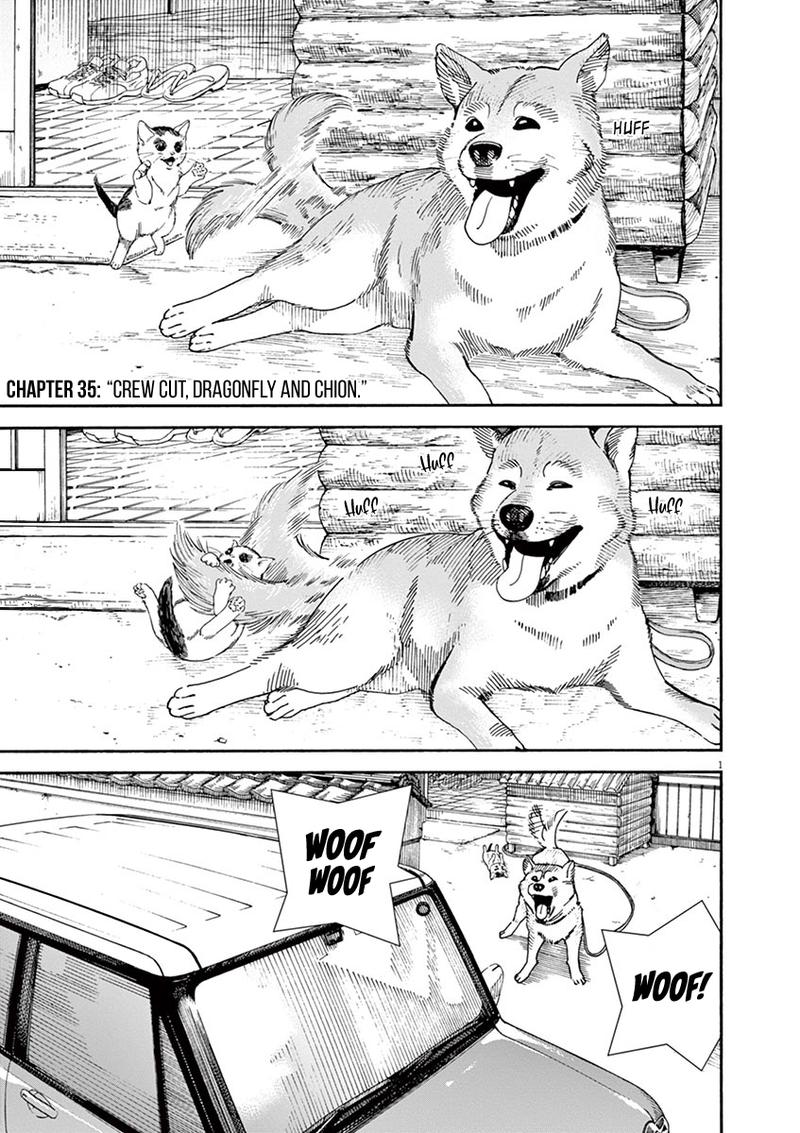 Neko No Otera No Chion San Chapter 35 Page 1