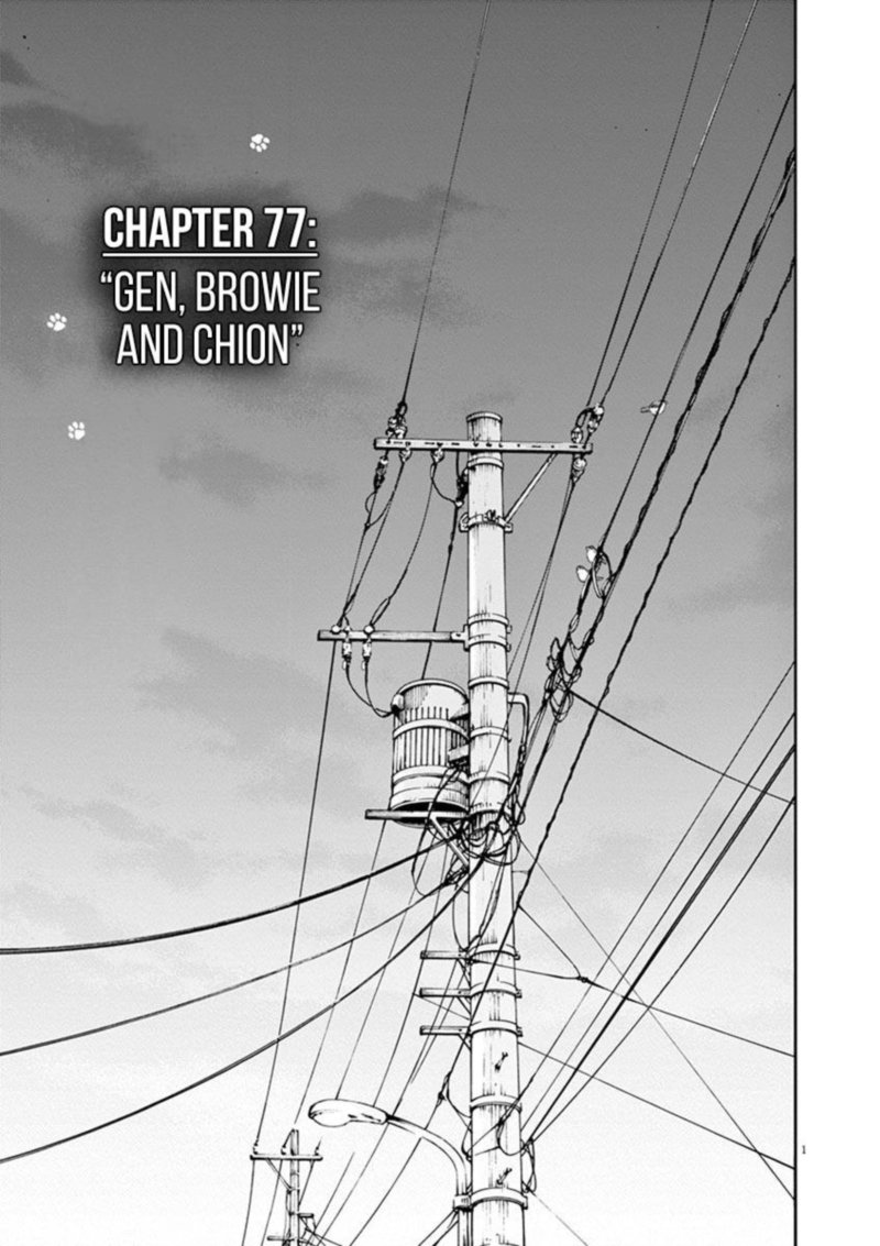Neko No Otera No Chion San Chapter 77 Page 1