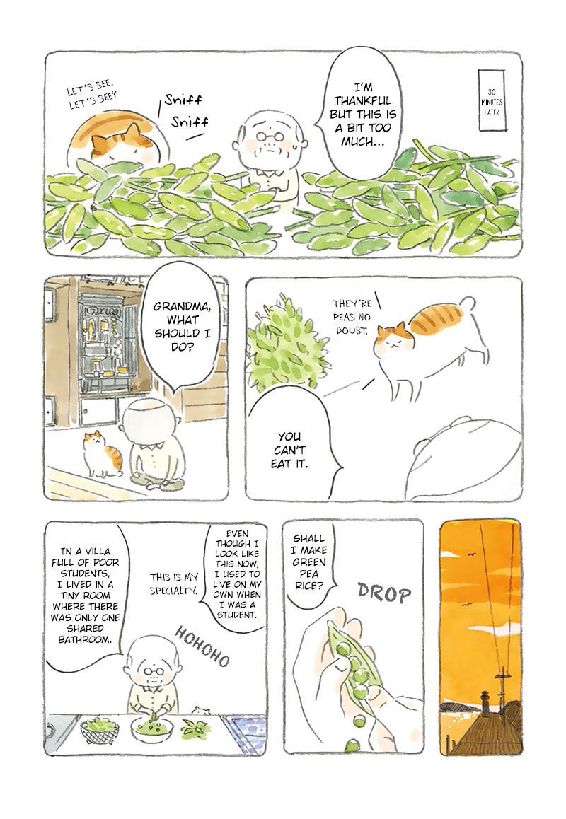 Neko To JII Chan Chapter 3 Page 4