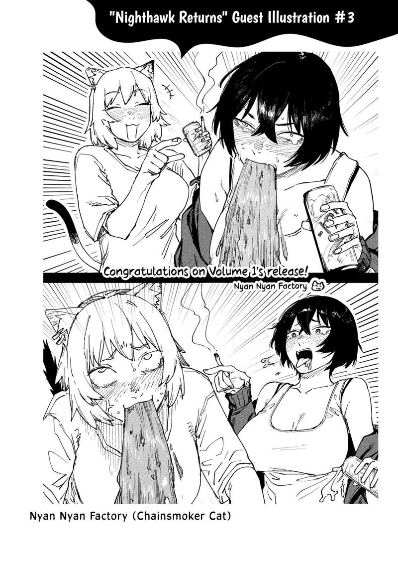 Nighthawk Returns Chapter 14 Page 21