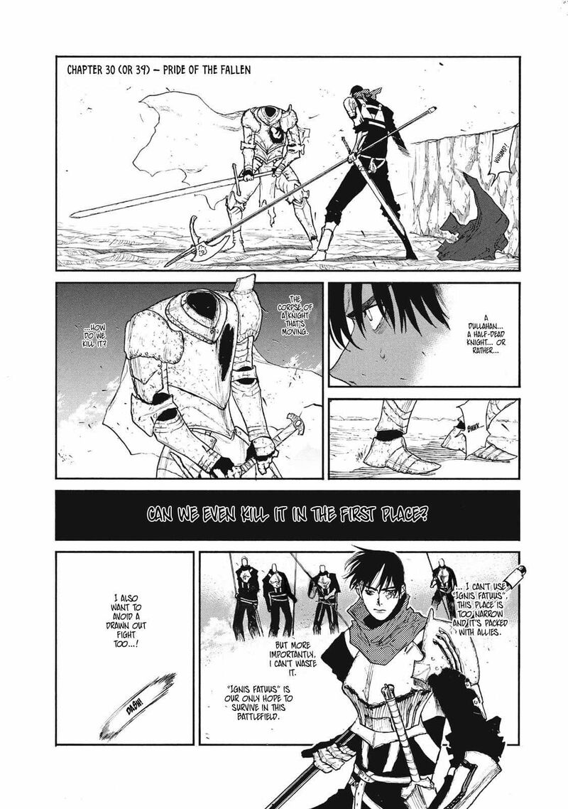 Nigoru Hitomi De Nani Wo Negau Highserk Senki Chapter 30 Page 2
