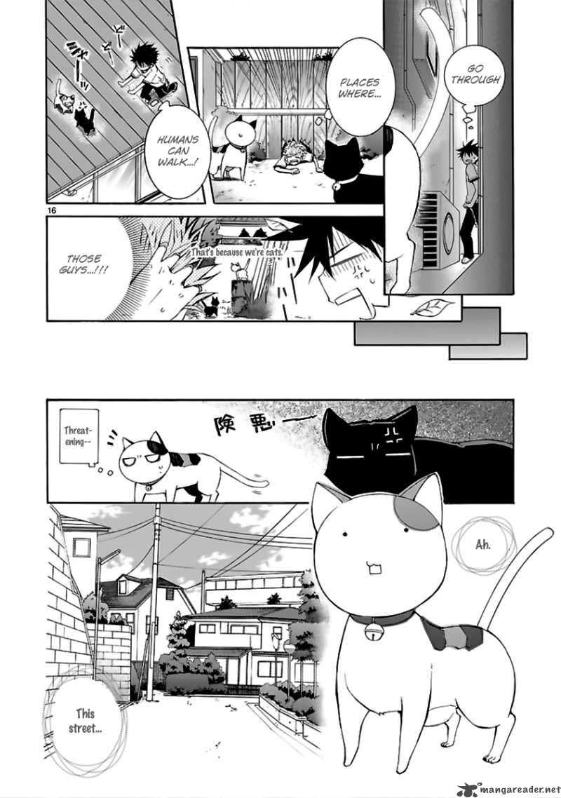 Nyan Koi Chapter 13 Page 17