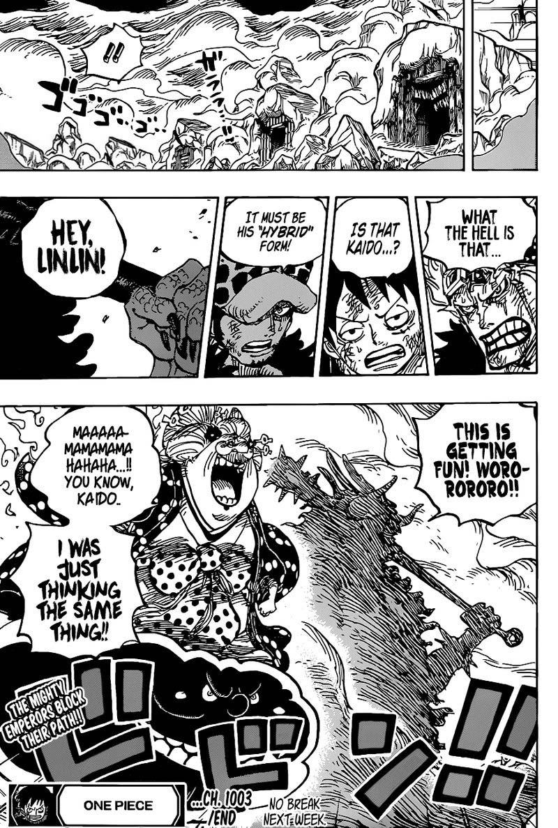 One Piece Chapter 1003 Page 13
