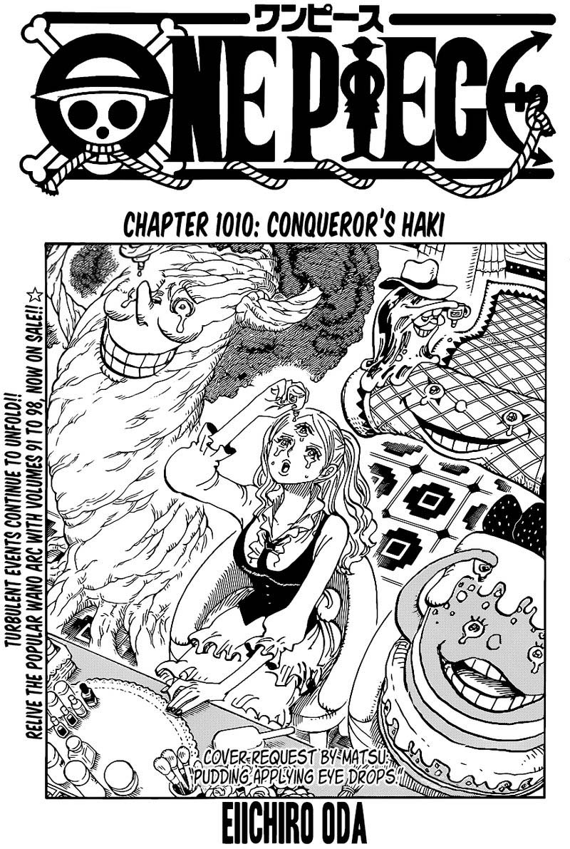 One Piece Chapter 1010 Page 1