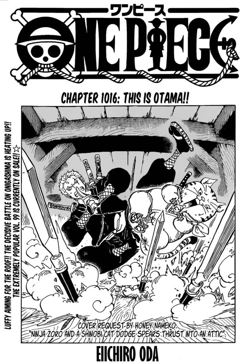 One Piece Chapter 1016 Page 1