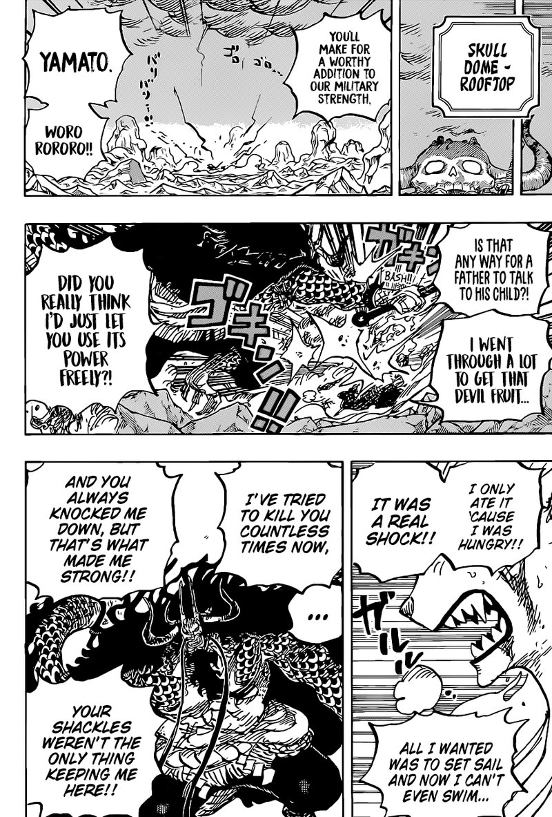 One Piece Chapter 1019 Page 18