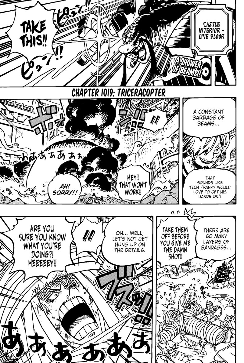 One Piece Chapter 1019 Page 4