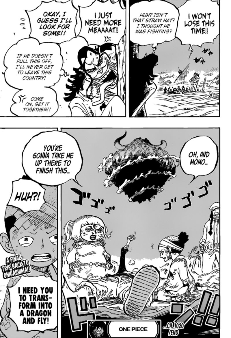 One Piece Chapter 1020 Page 17