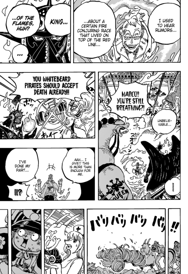 One Piece Chapter 1022 Page 14