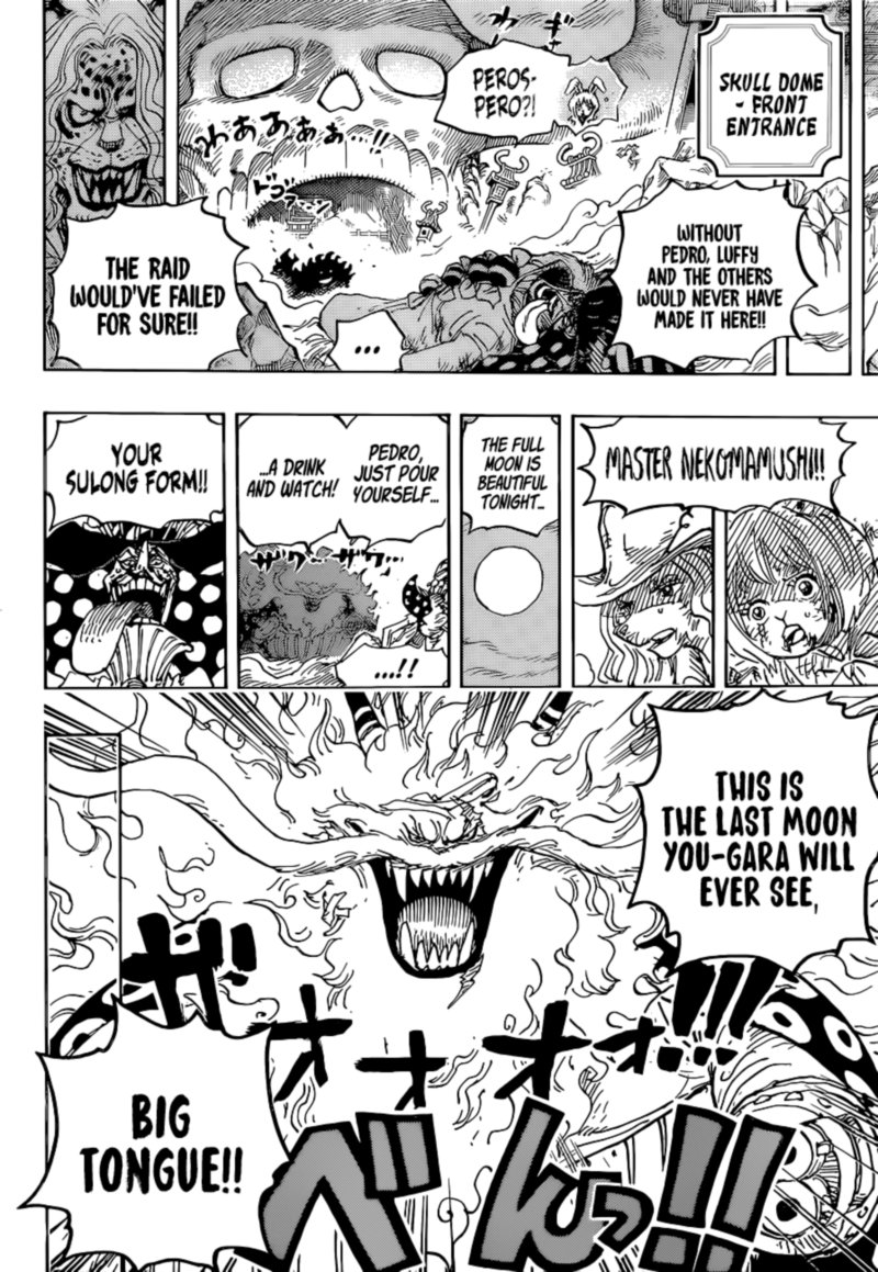 One Piece Chapter 1023 Page 15