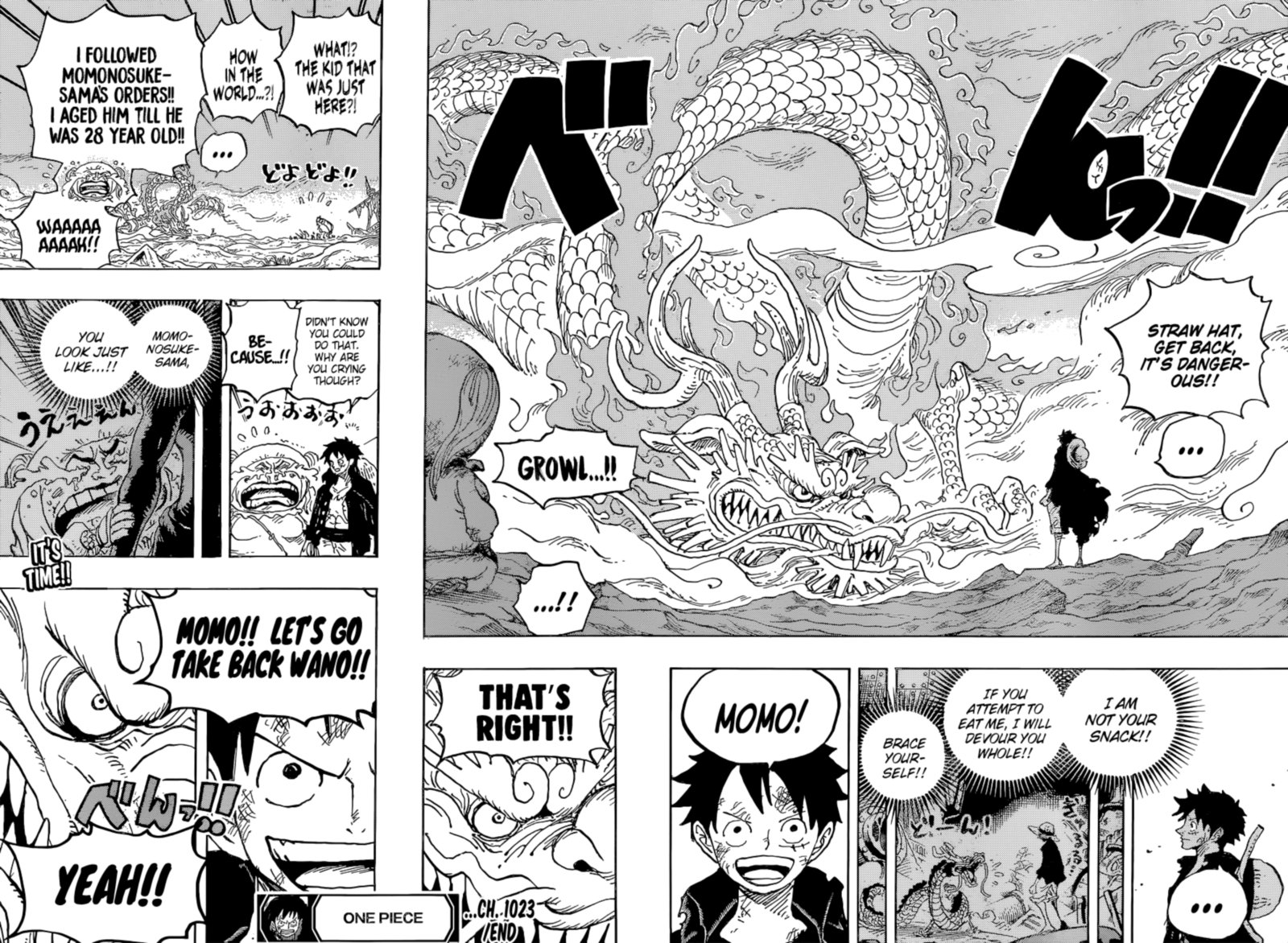 One Piece Chapter 1023 Page 17