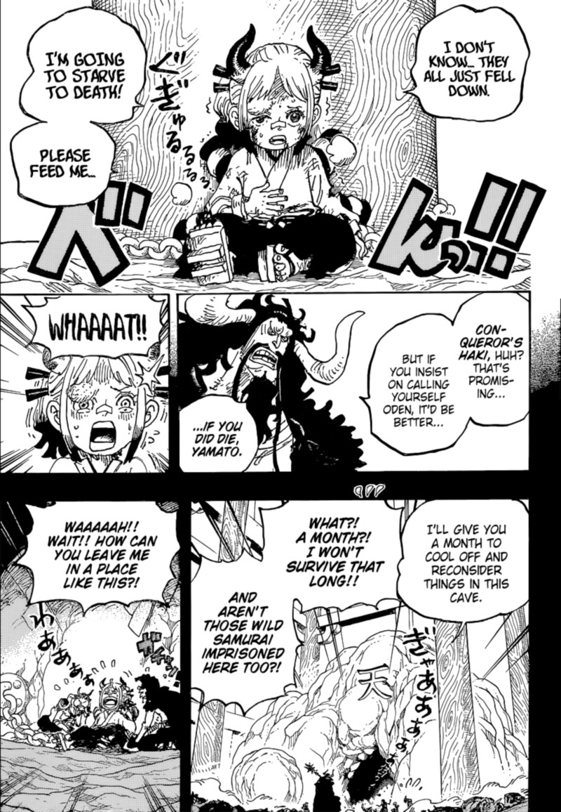 One Piece Chapter 1024 Page 11