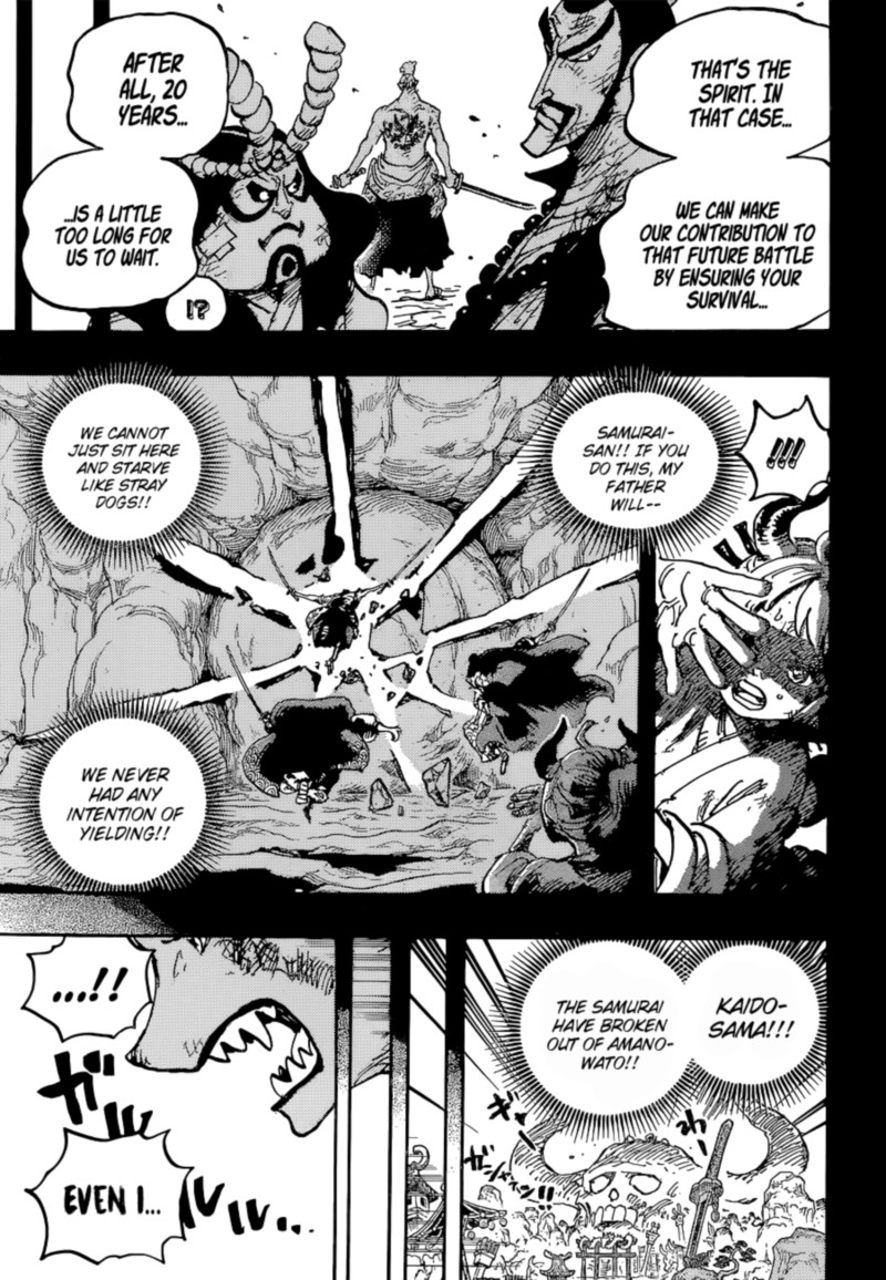 One Piece Chapter 1024 Page 17