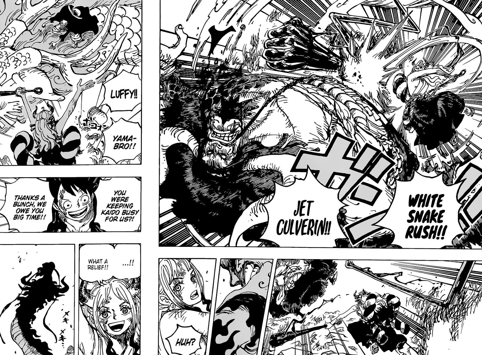 One Piece Chapter 1025 Page 14