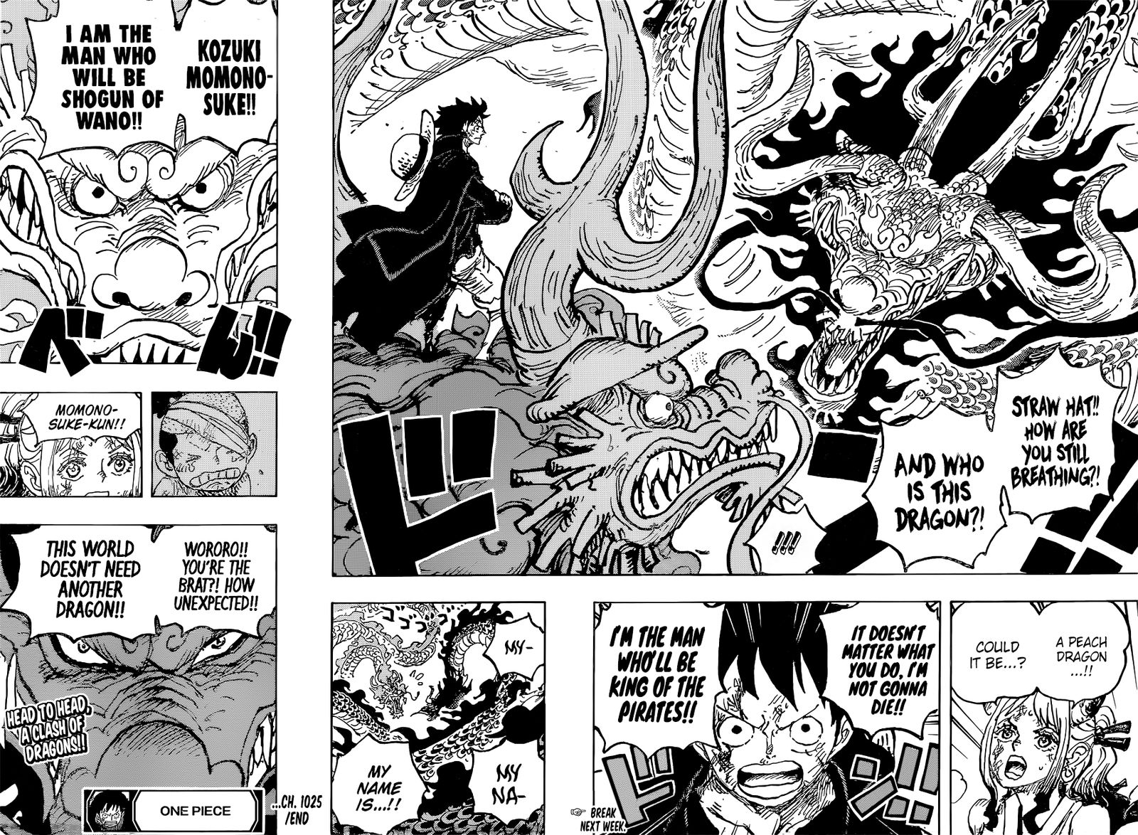 One Piece Chapter 1025 Page 15