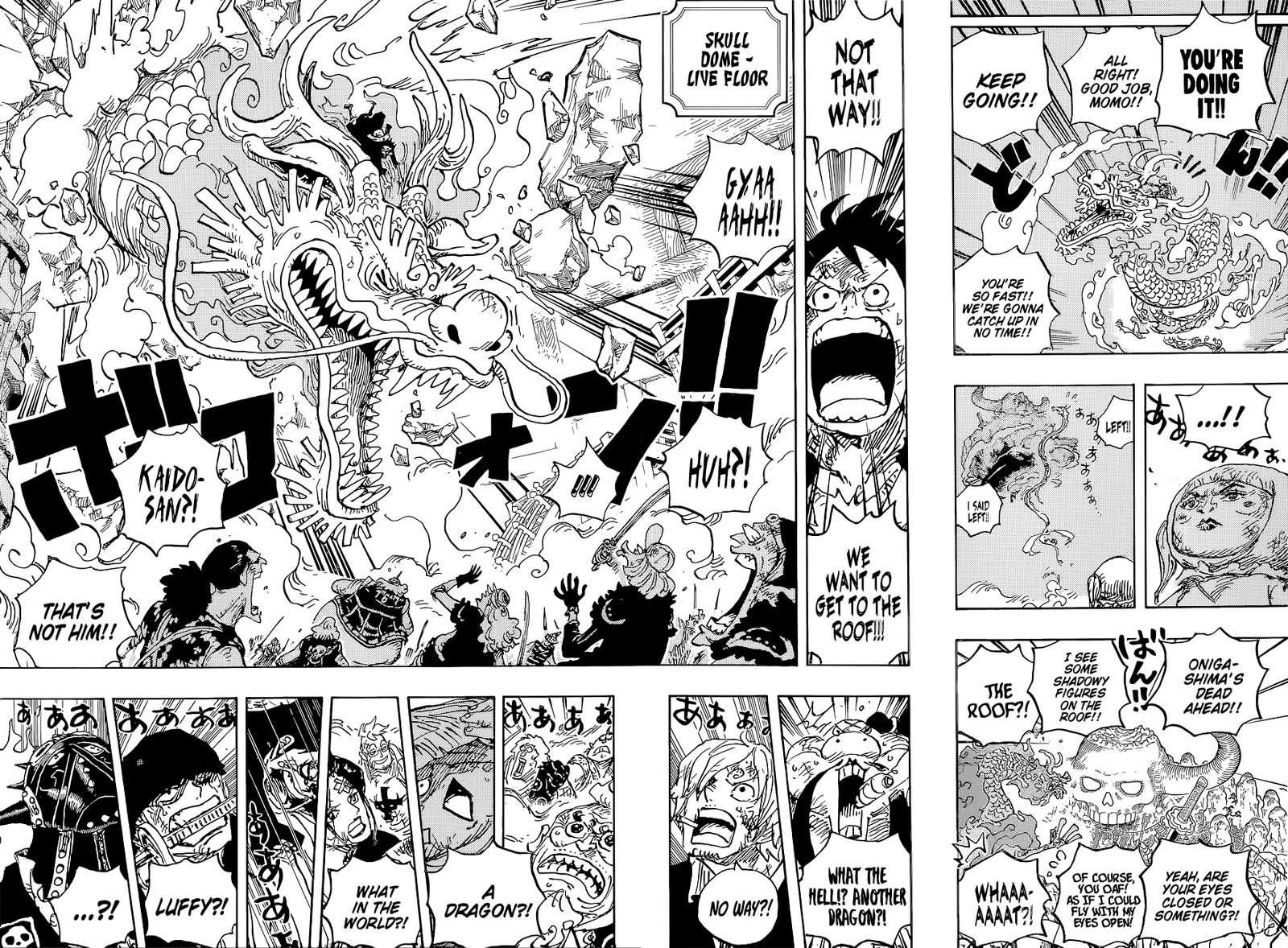 One Piece Chapter 1025 Page 9