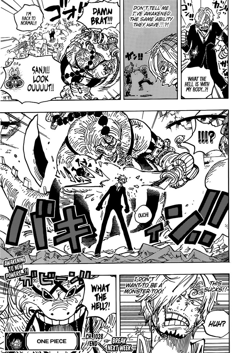 One Piece Chapter 1028 Page 17