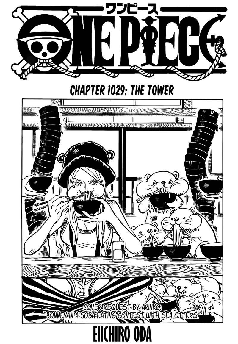 One Piece Chapter 1029 Page 1