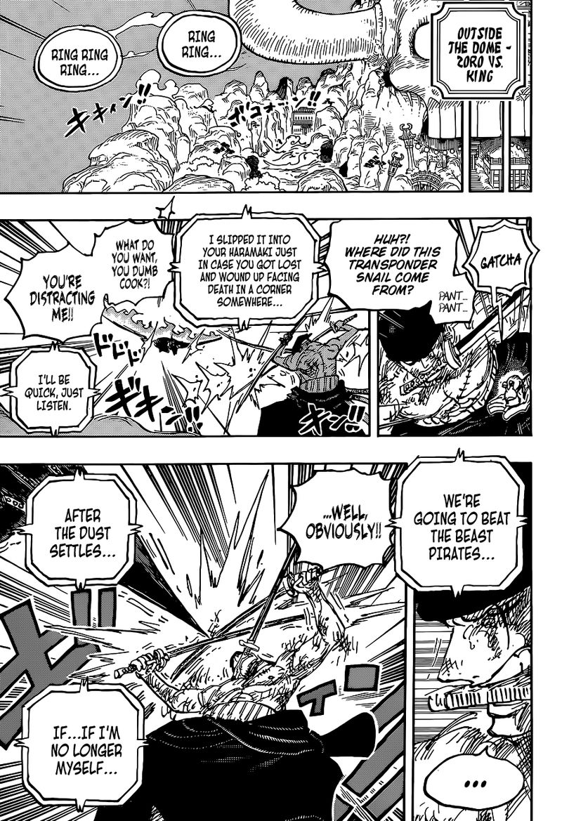 One Piece Chapter 1031 Page 16