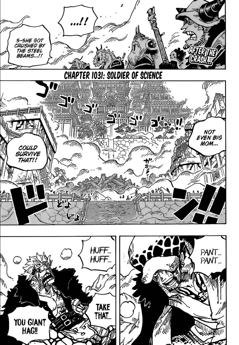 One Piece Chapter 1031 Page 3