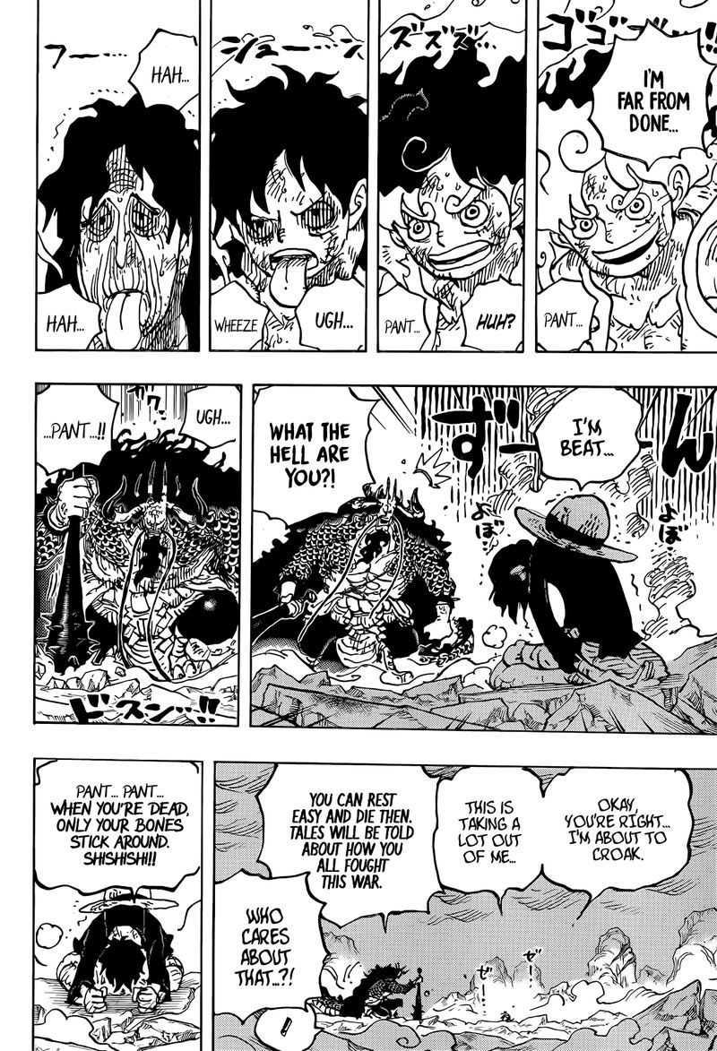One Piece Chapter 1045 Page 13