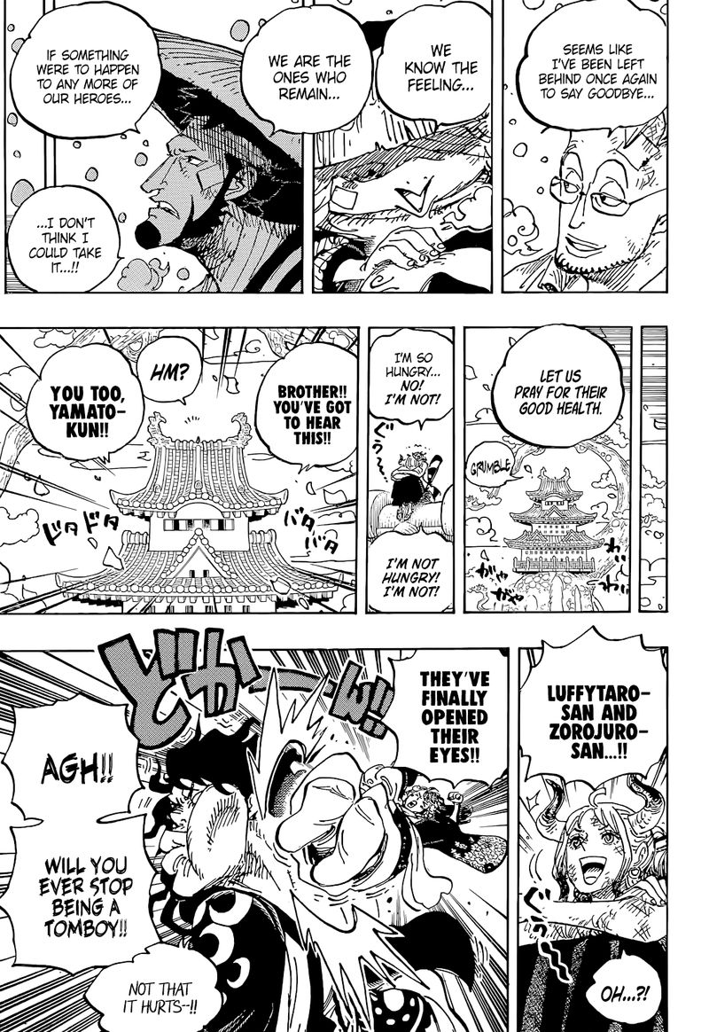 One Piece Chapter 1052 Page 9