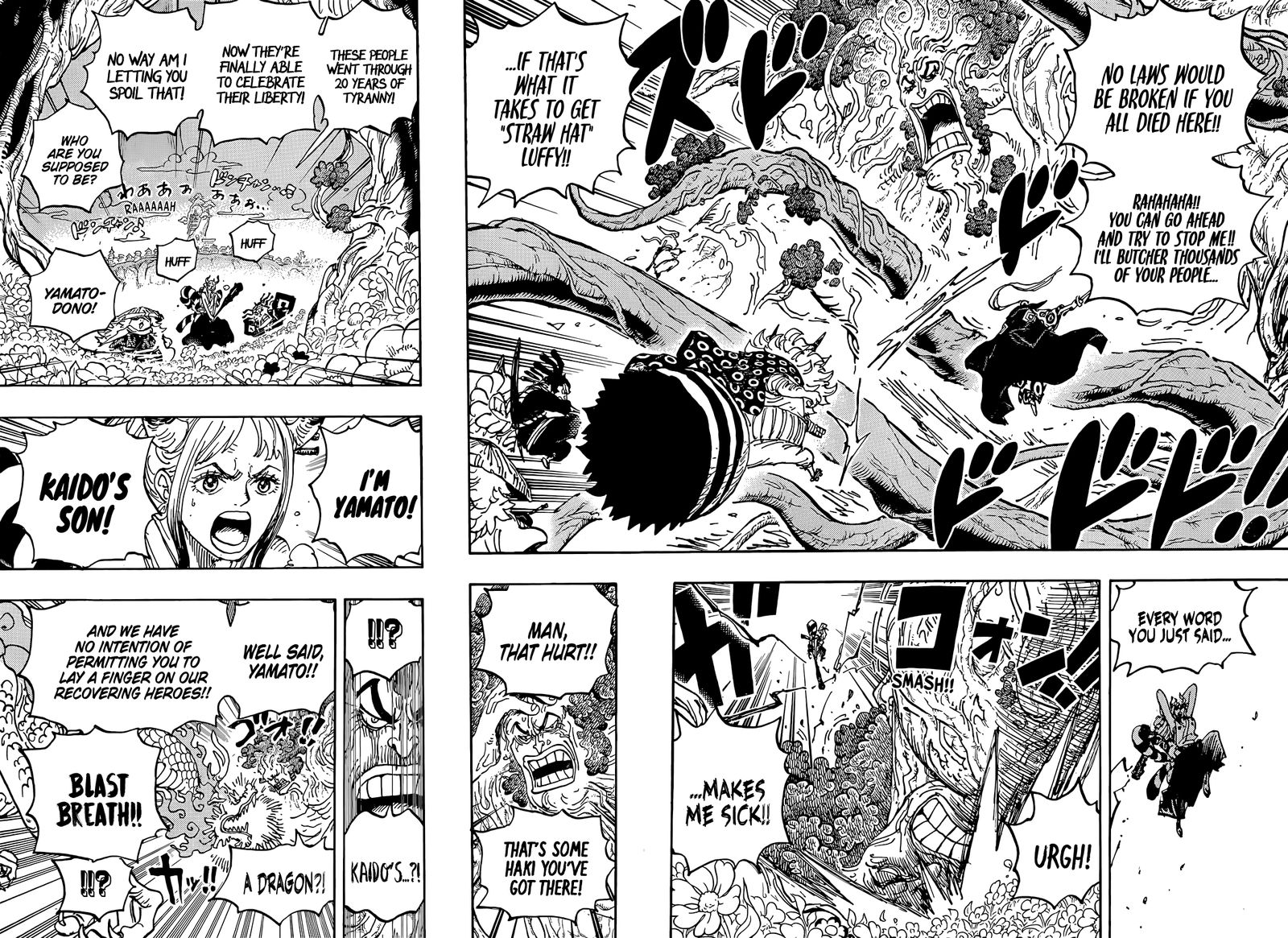 One Piece Chapter 1054 Page 5