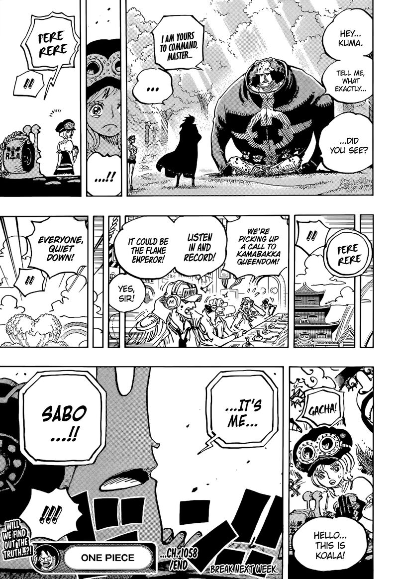 One Piece Chapter 1058 Page 16