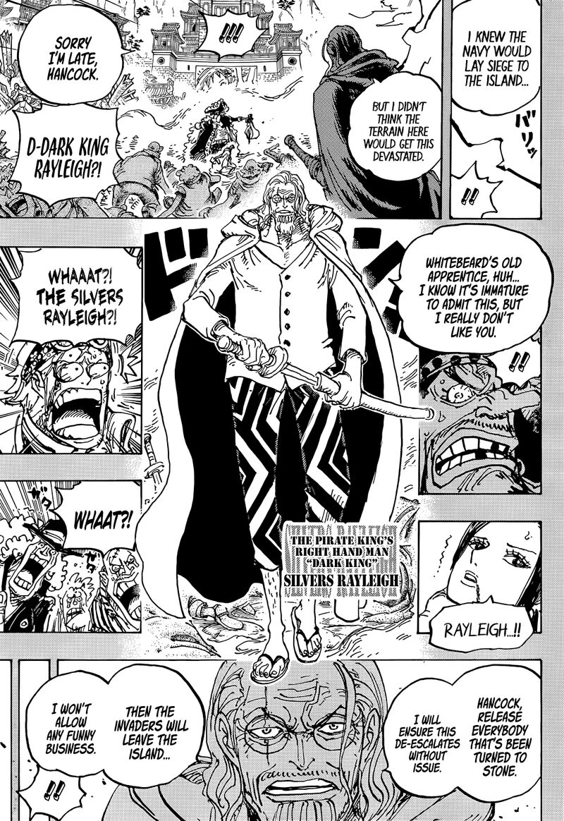 One Piece Chapter 1059 Page 14