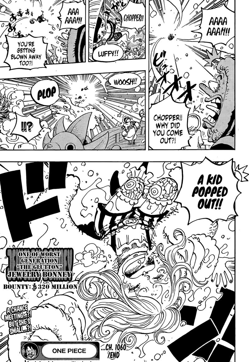 One Piece Chapter 1060 Page 17