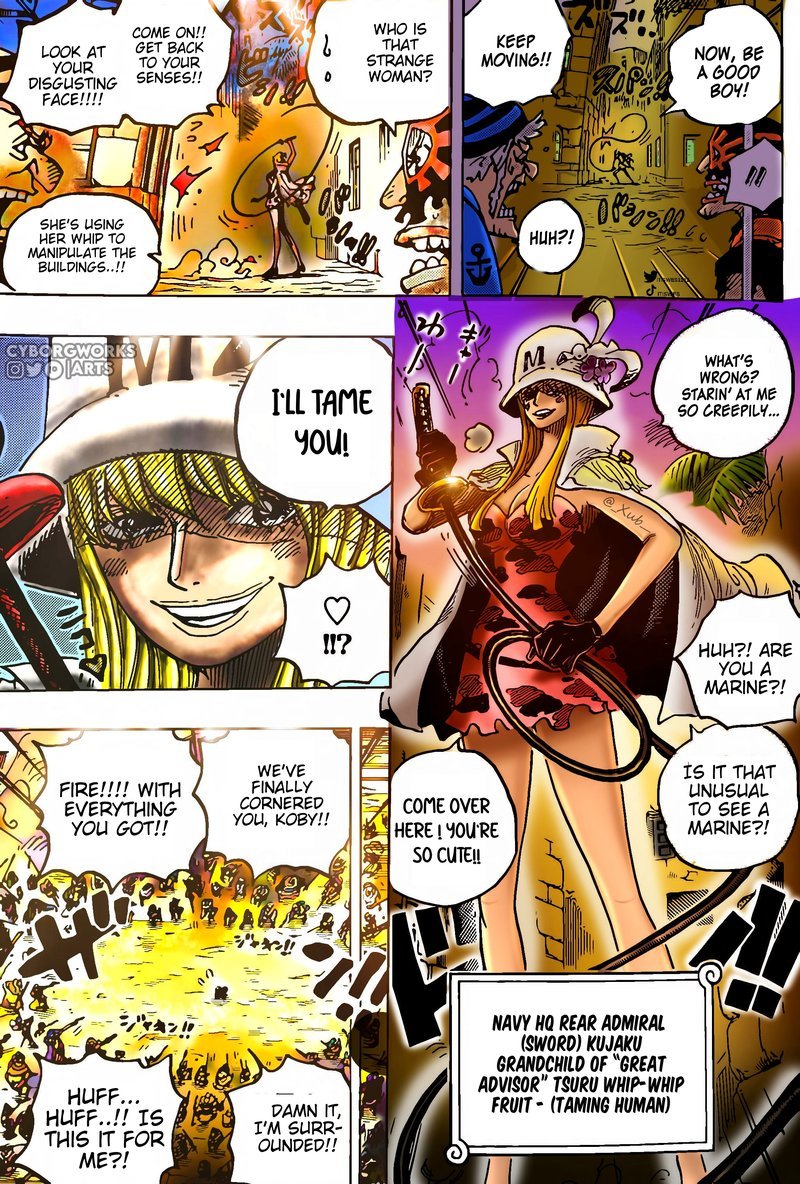 One Piece Chapter 1080a Page 11