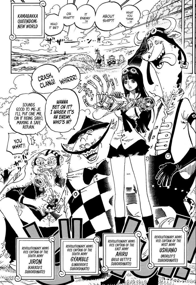 One Piece Chapter 1082 Page 11