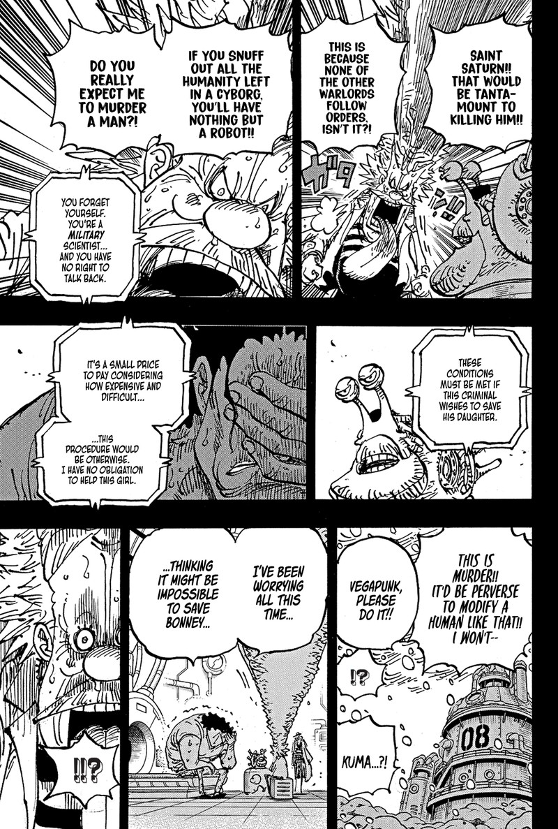 One Piece Chapter 1100 Page 5