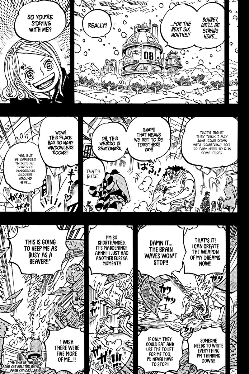 One Piece Chapter 1100 Page 9