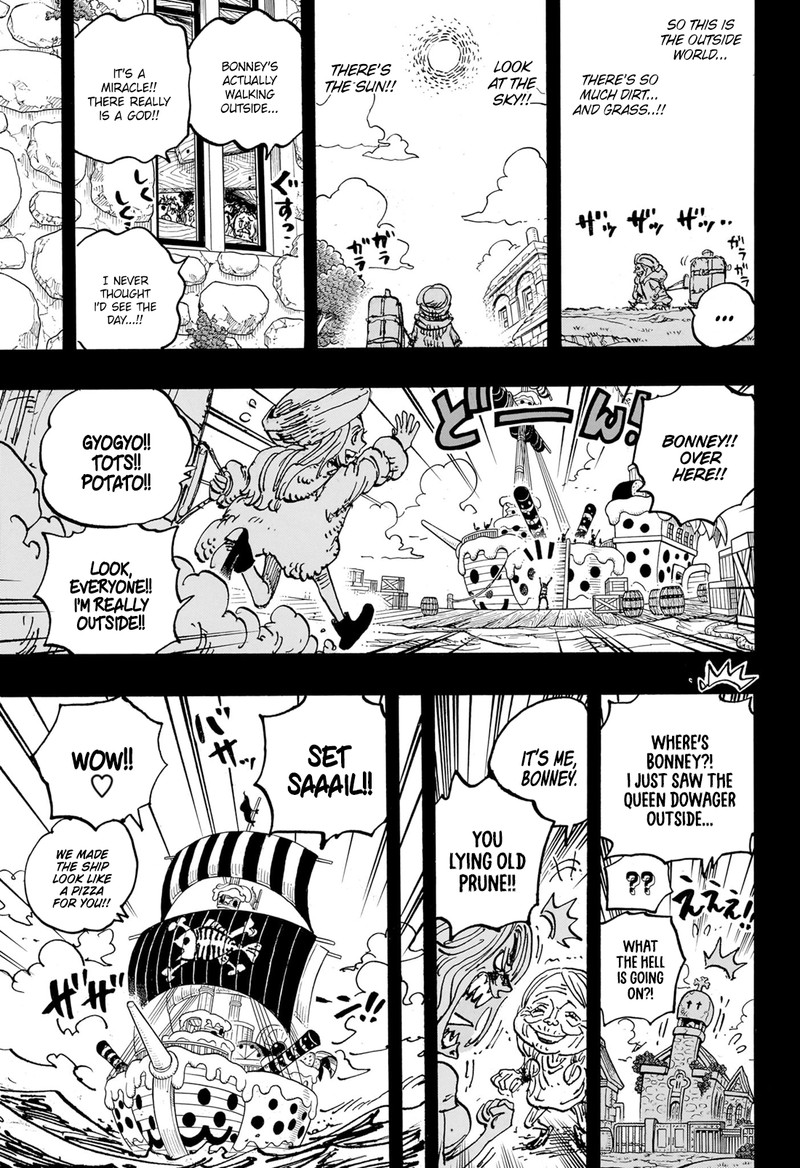 One Piece Chapter 1101 Page 15