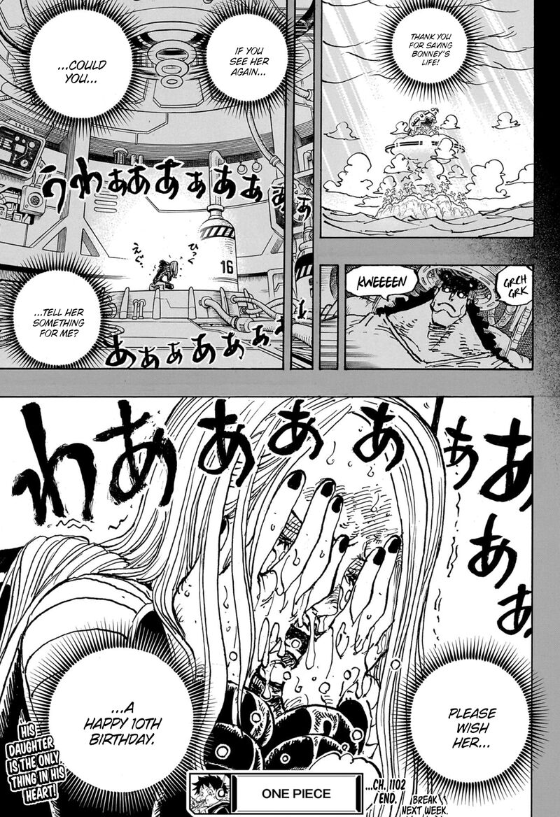 One Piece Chapter 1102 Page 18