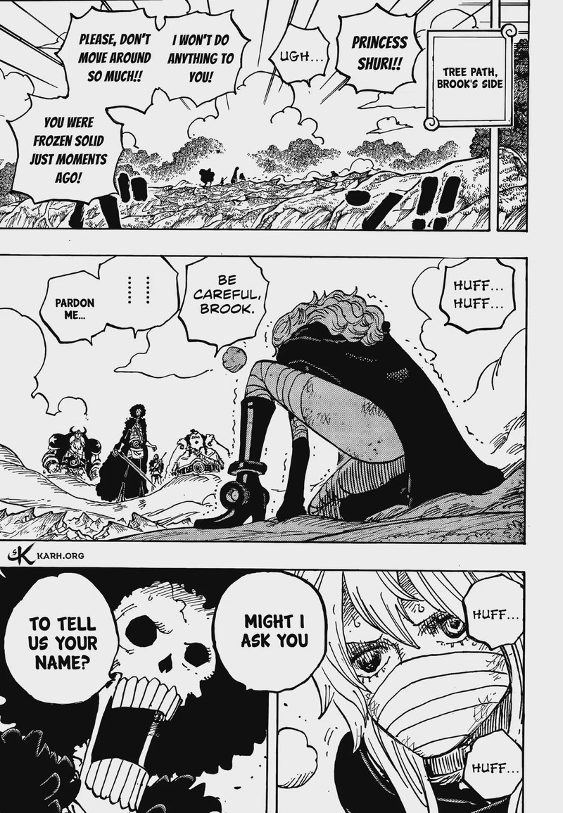 One Piece Chapter 1195 Page 5