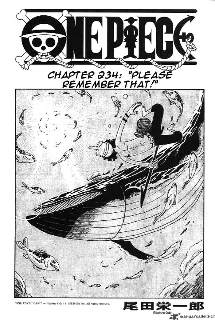 One Piece Chapter 234 Page 1