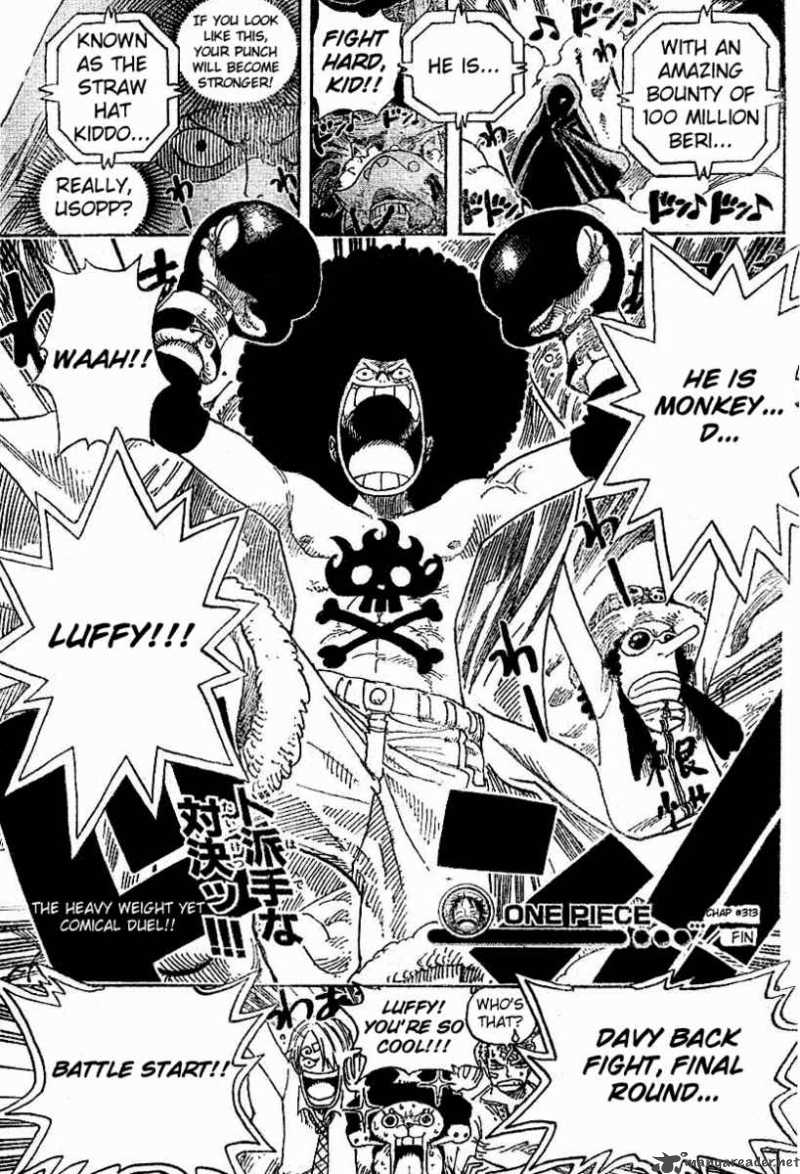 One Piece Chapter 313 Page 19