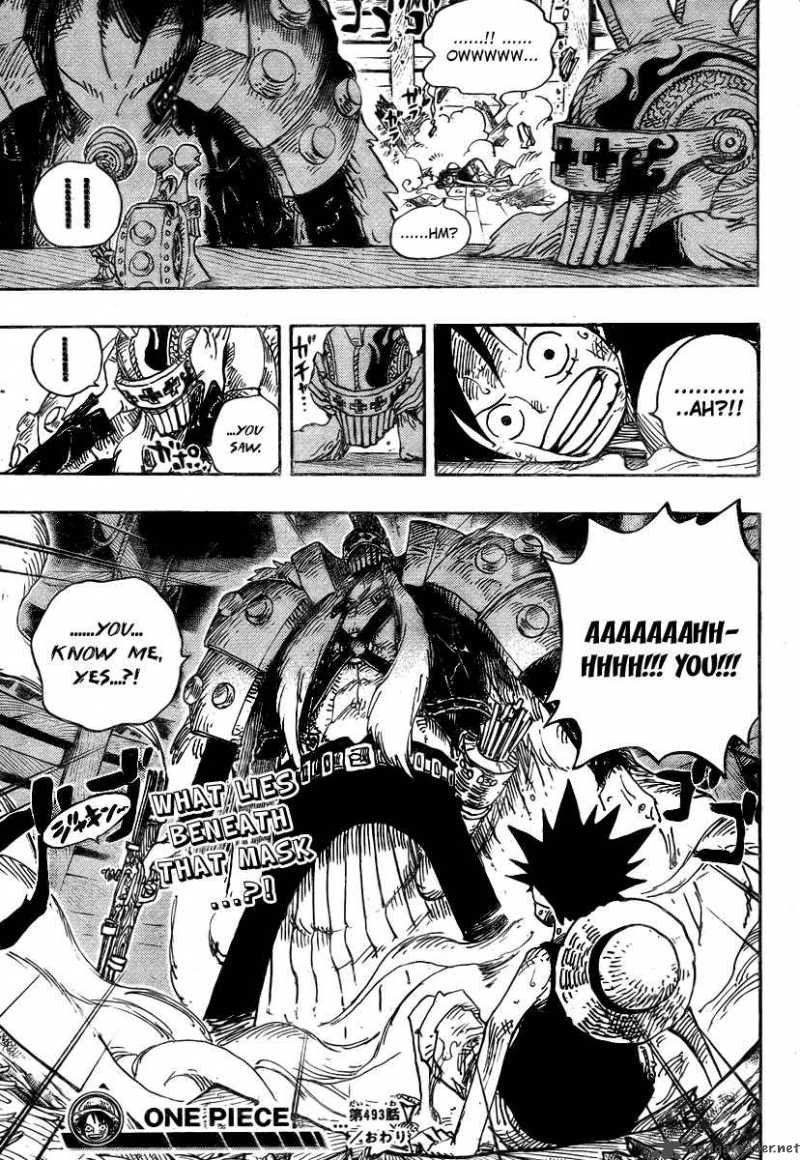 One Piece Chapter 493 Page 19