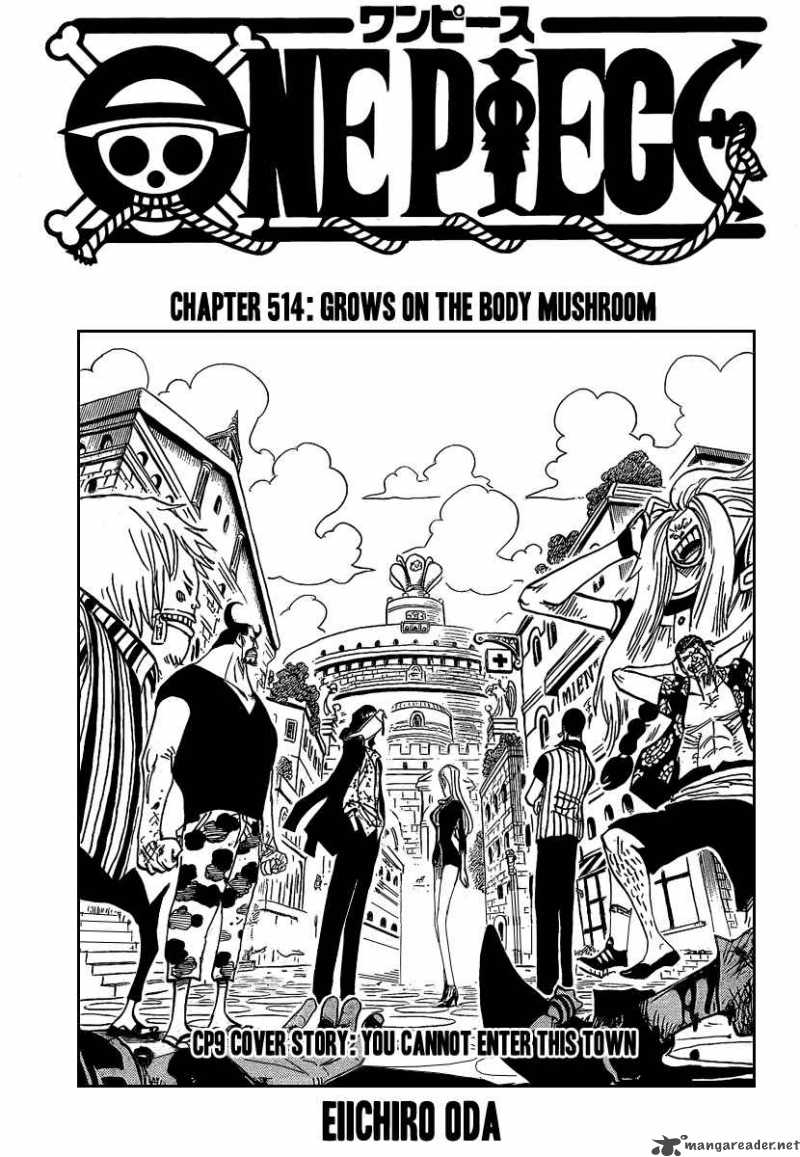 One Piece Chapter 514 Page 1