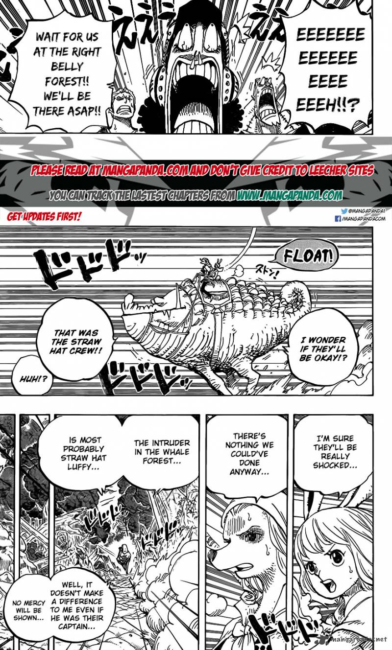 One Piece Chapter 805 Page 5