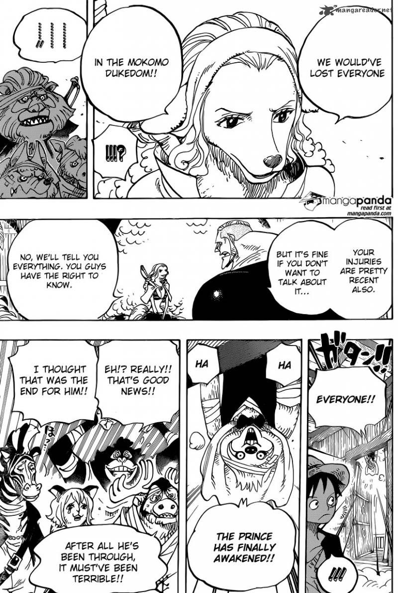 One Piece Chapter 807 Page 12