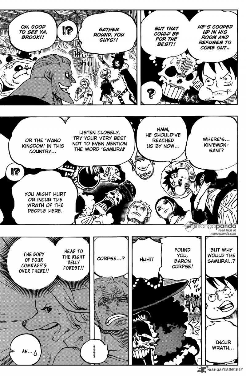 One Piece Chapter 807 Page 4