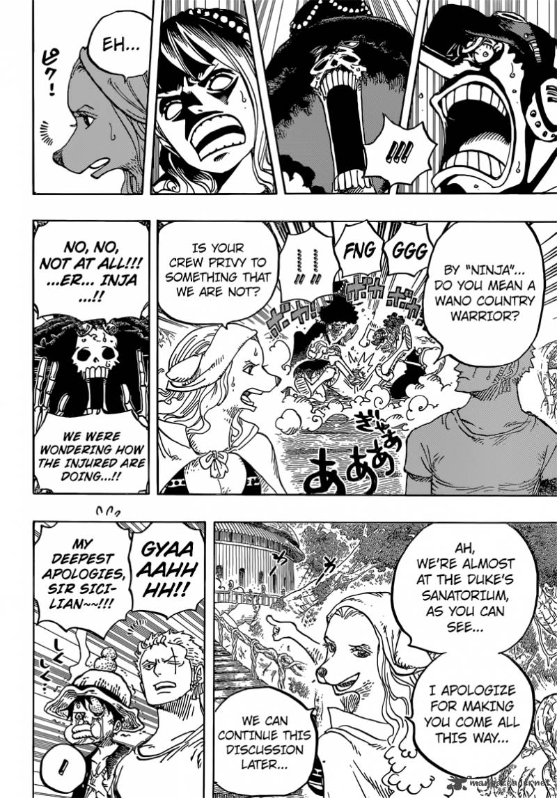 One Piece Chapter 808 Page 13