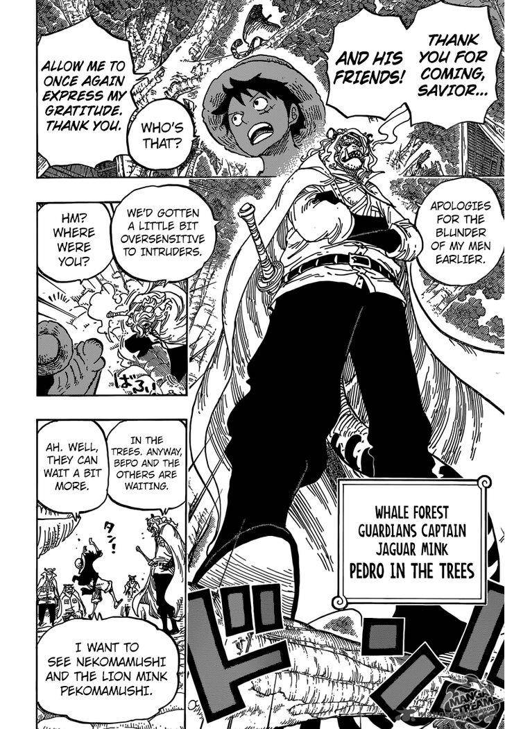 One Piece Chapter 814 Page 13