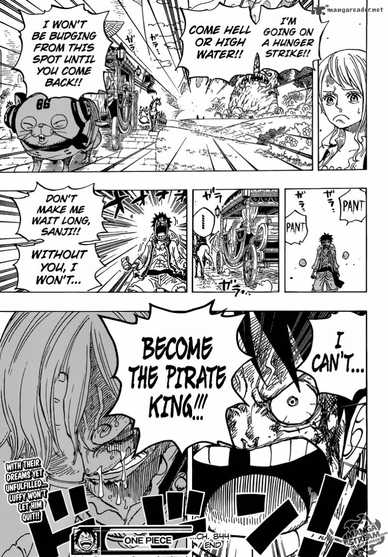 One Piece Chapter 844 Page 19