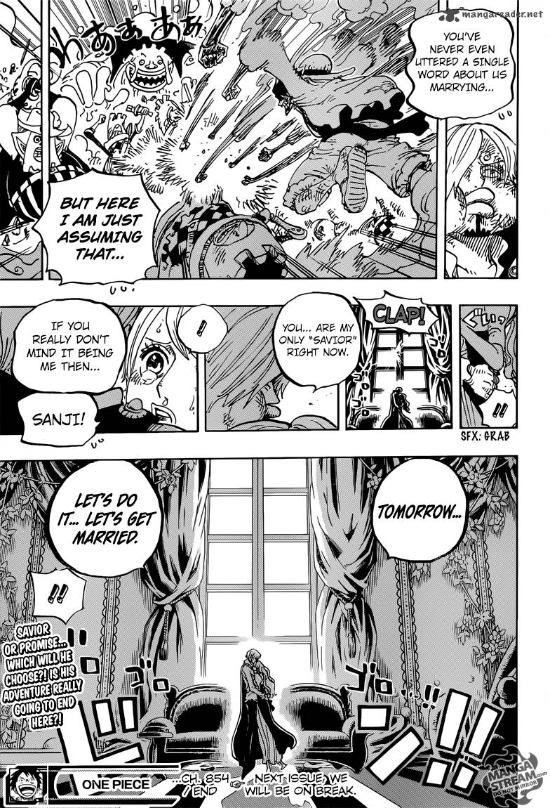 One Piece Chapter 845 Page 17